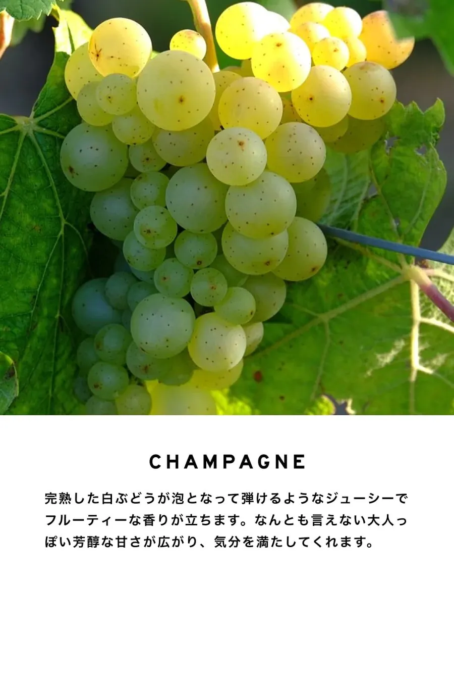 【SHOLAYERED】BODY SPRAY(ボディスプレー)100ML