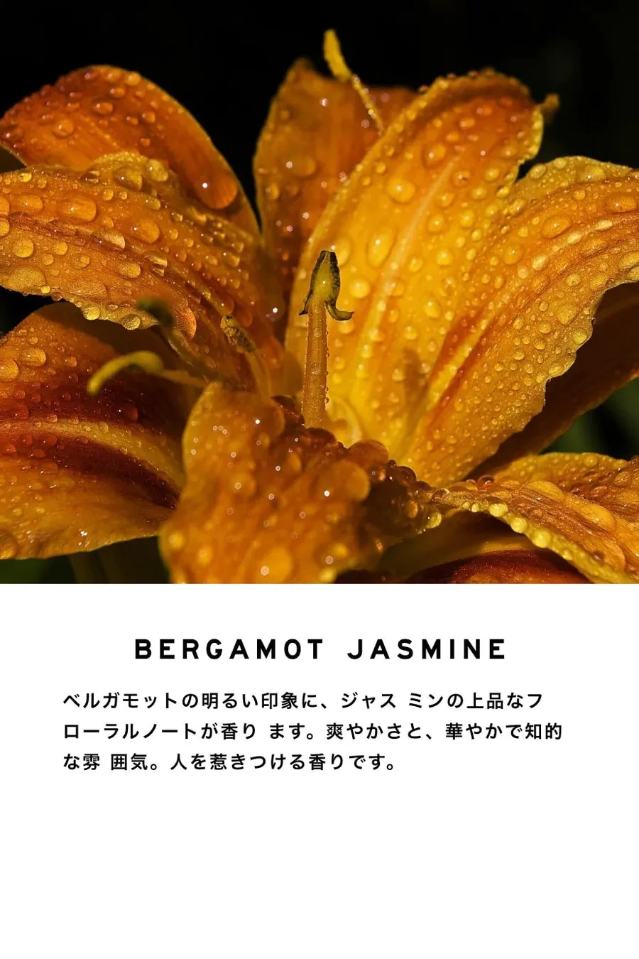 【SHOLAYERED】BODY SPRAY(ボディスプレー)100ML