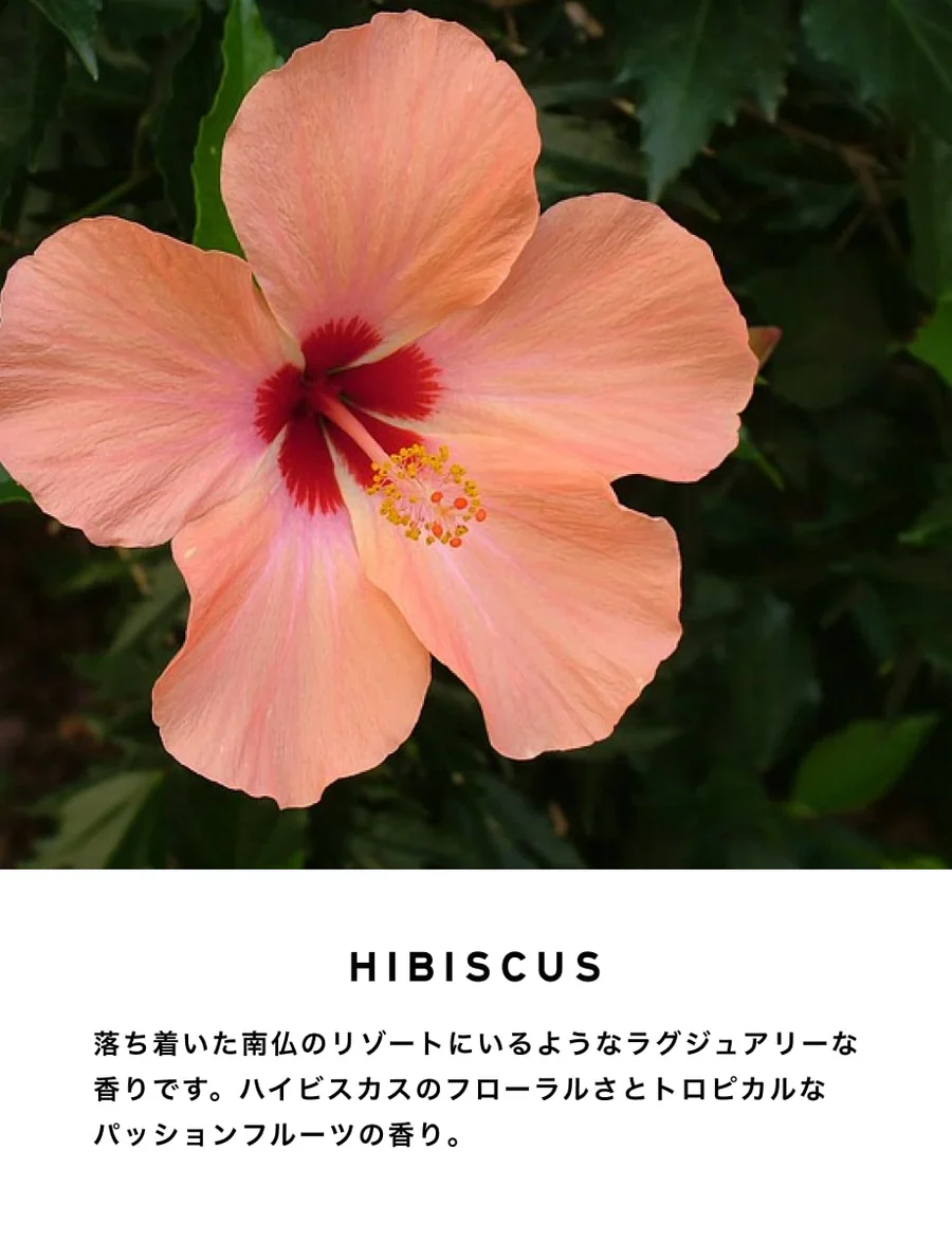 【SHOLAYERED】BODY SPRAY(ボディスプレー)100ML