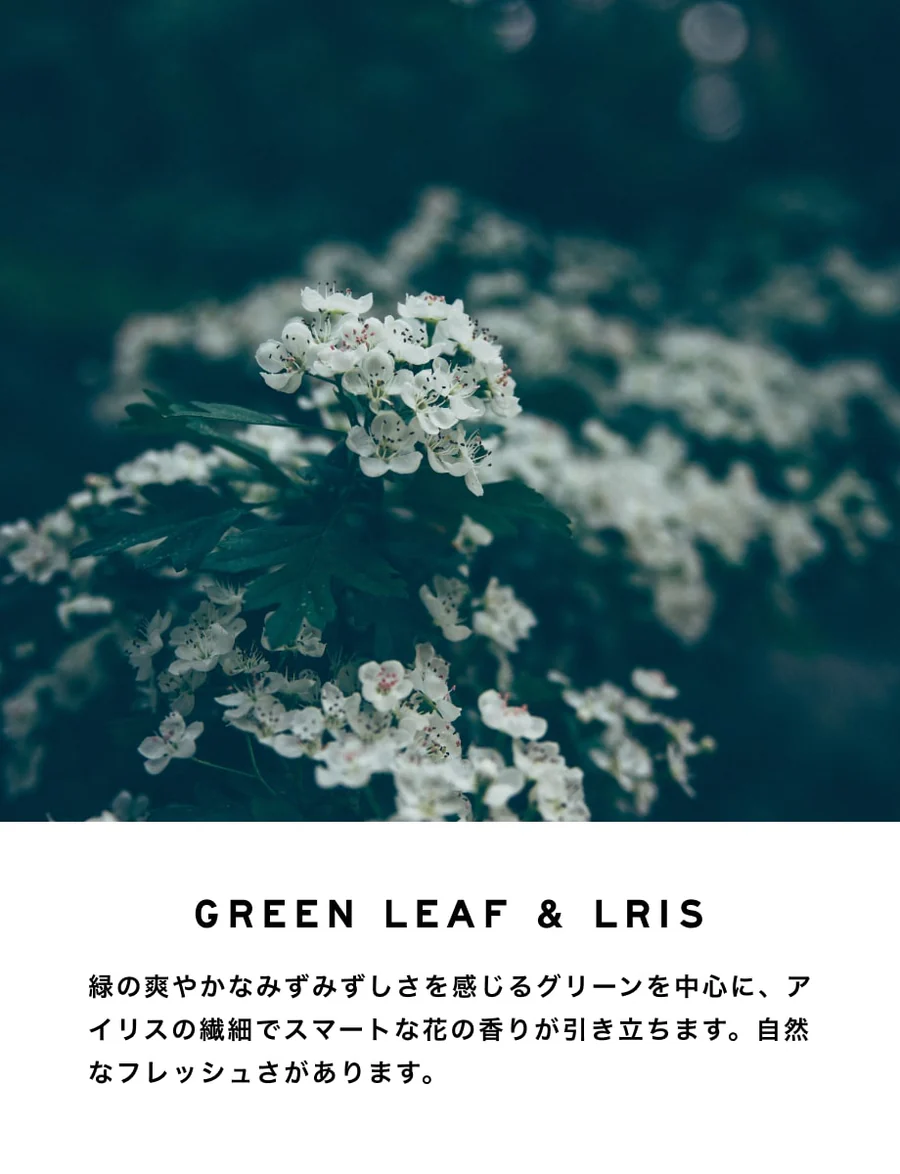 【SHOLAYERED】BODY SPRAY(ボディスプレー)100ML