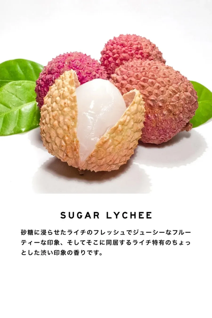 【SHOLAYERED】DIFFUSER（ディフューザー）500ML