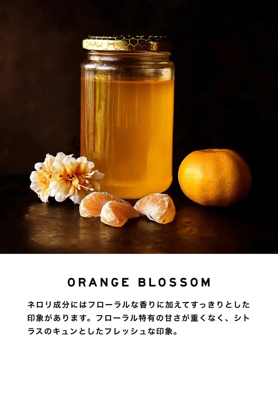 【SHOLAYERED】DIFFUSER（ディフューザー）500ML