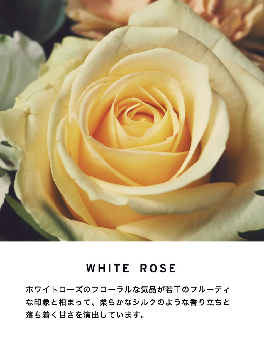 【SHOLAYERED】BODY SPRAY（ボディスプレー）100ML